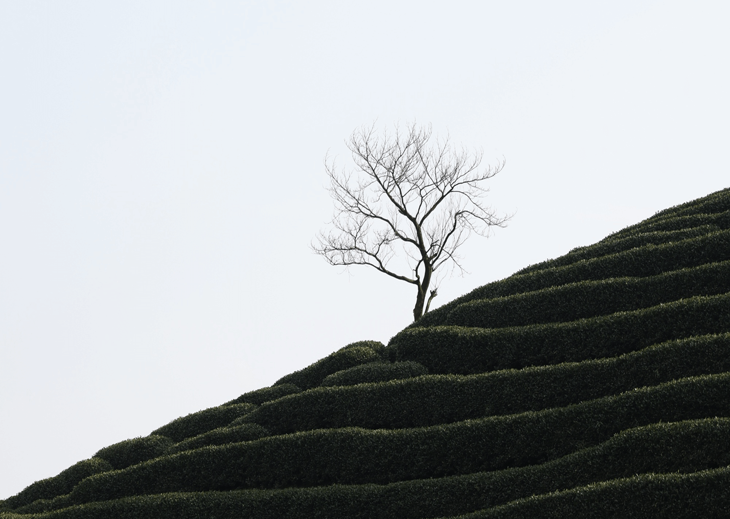 AI创业的残酷真相:为什么99%的人都选错了赛道?