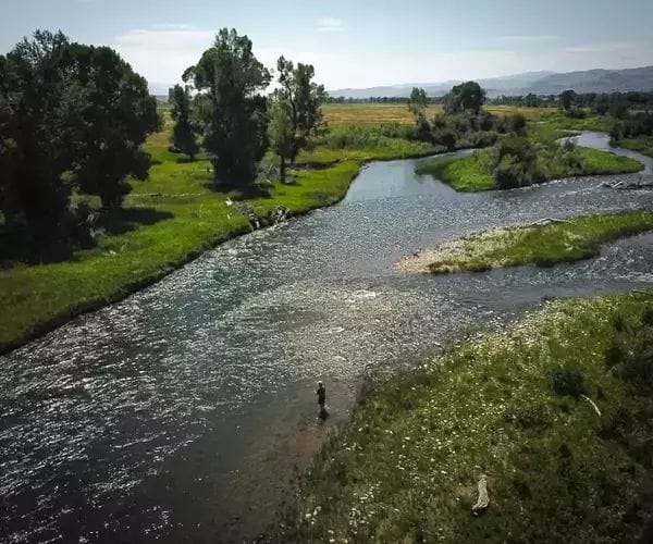 Fly fishing on Montana rivers - the heart of The Madison