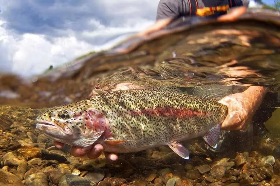 Montana's Blackfoot River - where A River Runs Through It was filmed, a landscape of spiritual significance