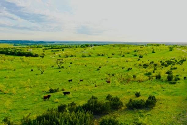 Texas brush country ranch landscape with vast open plains